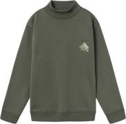 Name It Nkmnaskab LS Nreg Sweat BRU BOX Str 116 - Tea Leaf Sweatshirts...