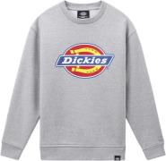 Dickies Icon Logo Sweatshirt Grey Melange Mand Gym Sweatshirts Str M -...