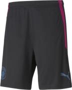 Puma Manchester City Træningsshorts S - Træningsshorts hos Magasin