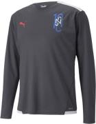 Puma Neymar Jr Futebol Fodboldtrøje L - Sweatshirts hos Magasin