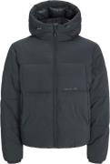 Jack & Jones Jorvesterbro Puffer Jacket Aw24 SN Mand Forest River Over...