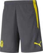 Puma Dortmund Træningsshorts S - Træningsshorts hos Magasin