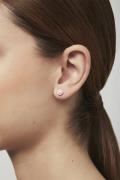 Ted Baker Sinaa: Crystal Stud Earring ONE SIZE - Ørestikker hos Magasi...