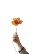 Studio About Paper Flower, Poppy, Orange, 130430o 203 Str Lengh 43 cm....