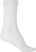 Sui Ava Favorite Socks Ankelstrømper Str 37-41 - hos Magasin