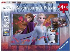 Ravensburger puslespil Ass Ravnsburger 2x24 Brikker - Puslespil hos Ma...