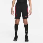 Nike Liverpool Fc ike Dri Fit Shorts 128-137 / S - Træningsshorts hos ...