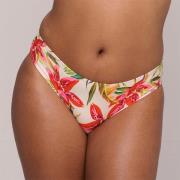 PrimaDonna Tanzania Bikini rio Trusse Bikiniunderdele Str 40 - hos Mag...